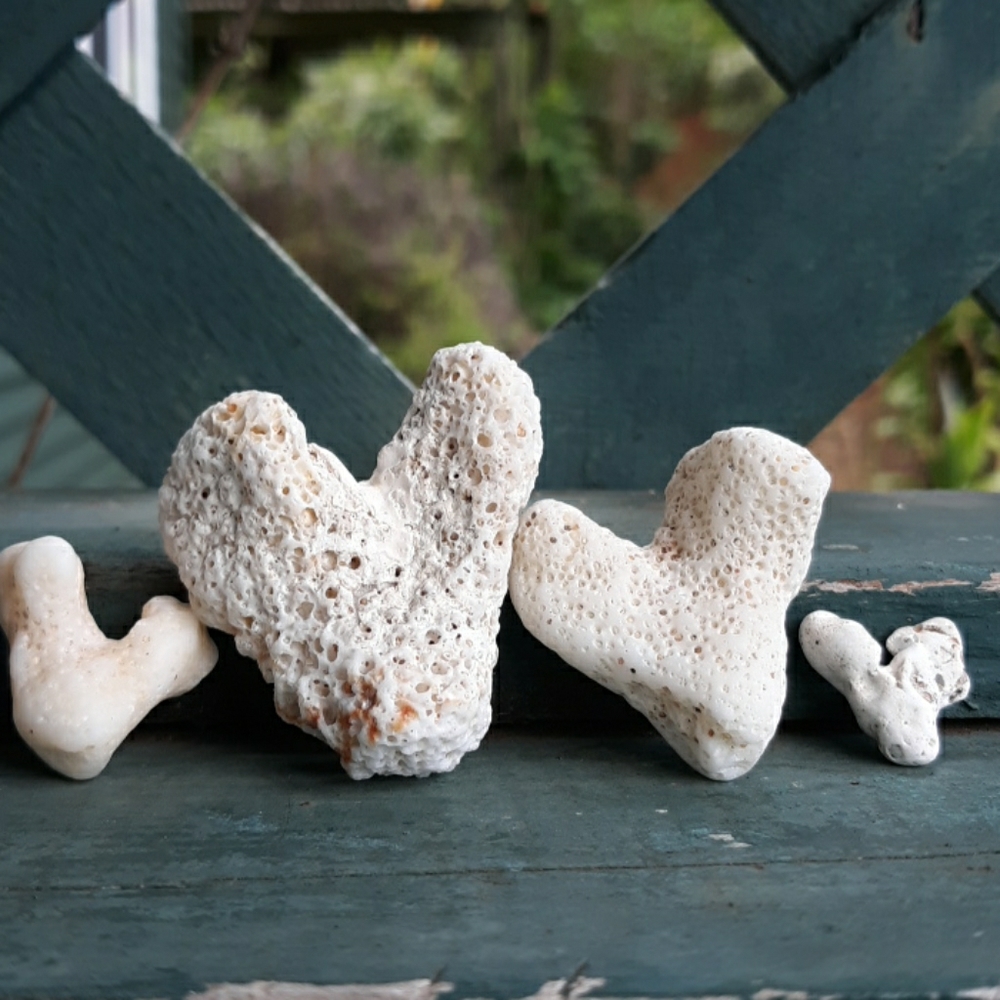 Meet your Posher, Mysea